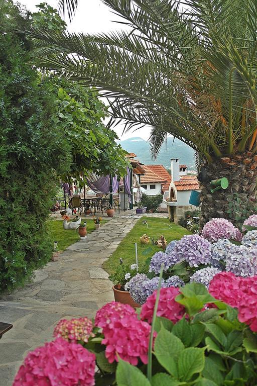 Studios Ifigenia Скала-Потамиас Экстерьер фото